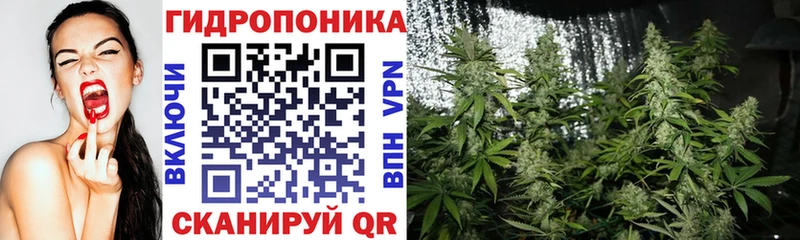 Купить закладку Почеп МАРИХУАНА  Псилоцибиновые грибы  ГАШИШ 